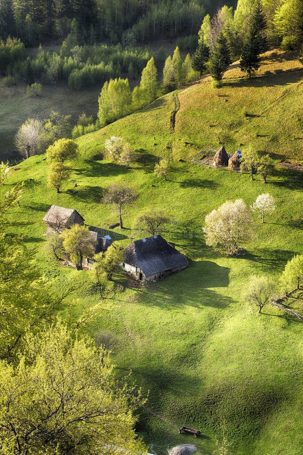 Spring in alpine valley stock photo. Image of grass, growing - 2021762