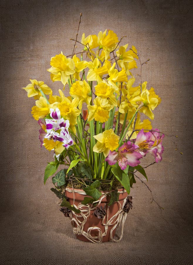 The spring arrangement of daffodils