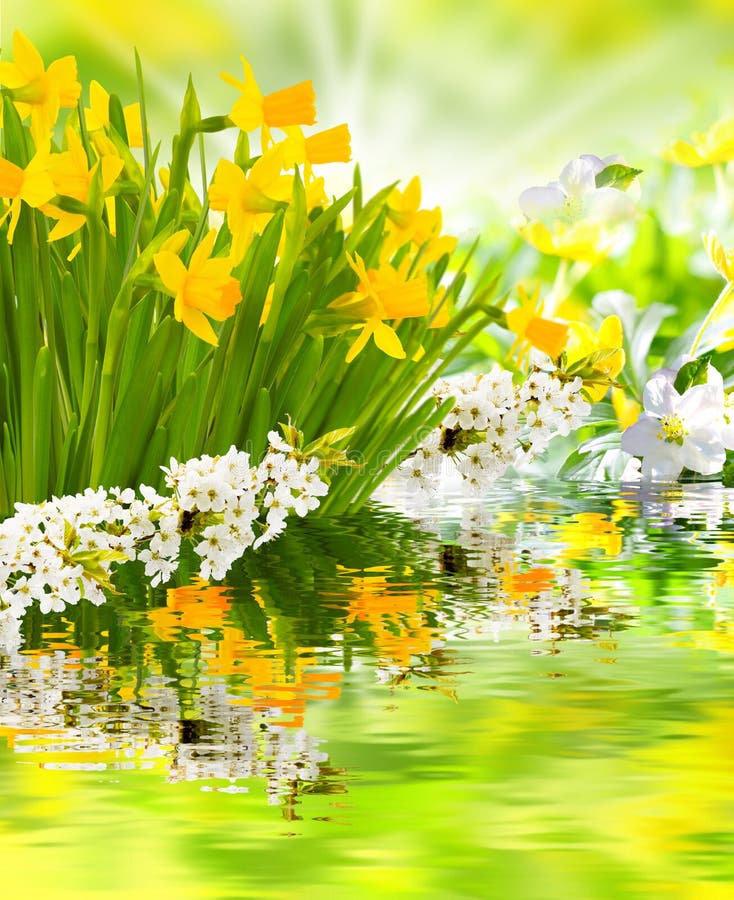 Spring Awakening royalty free stock photos