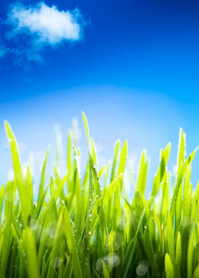 Spring background stock images Spring background stock images