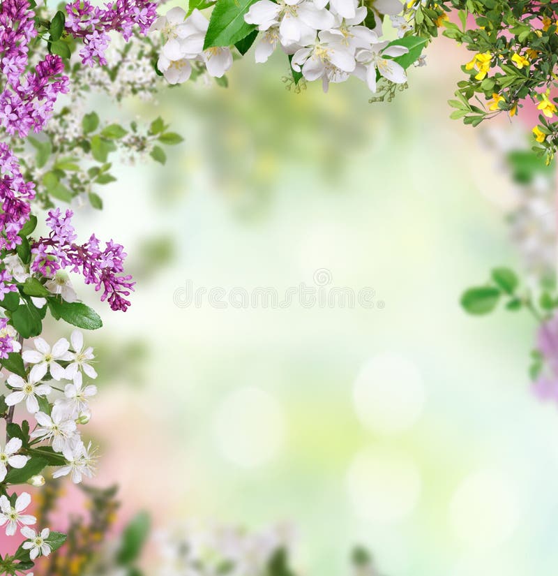 Spring Background Images – Browse 14,897,288 Stock Photos, Vectors, and  Video