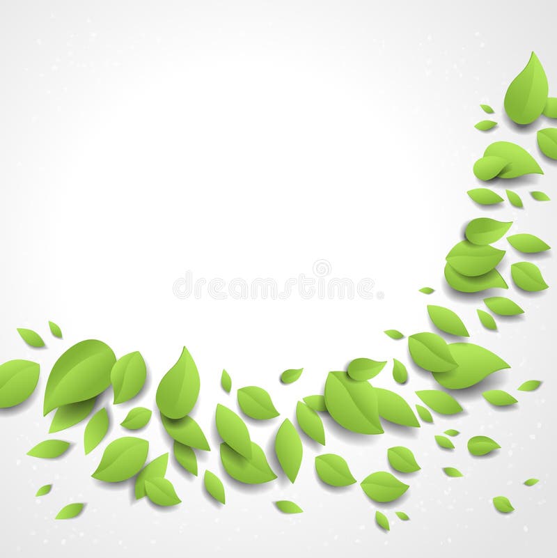 Branch with green leaves stock vector. Illustration of space - 25408225