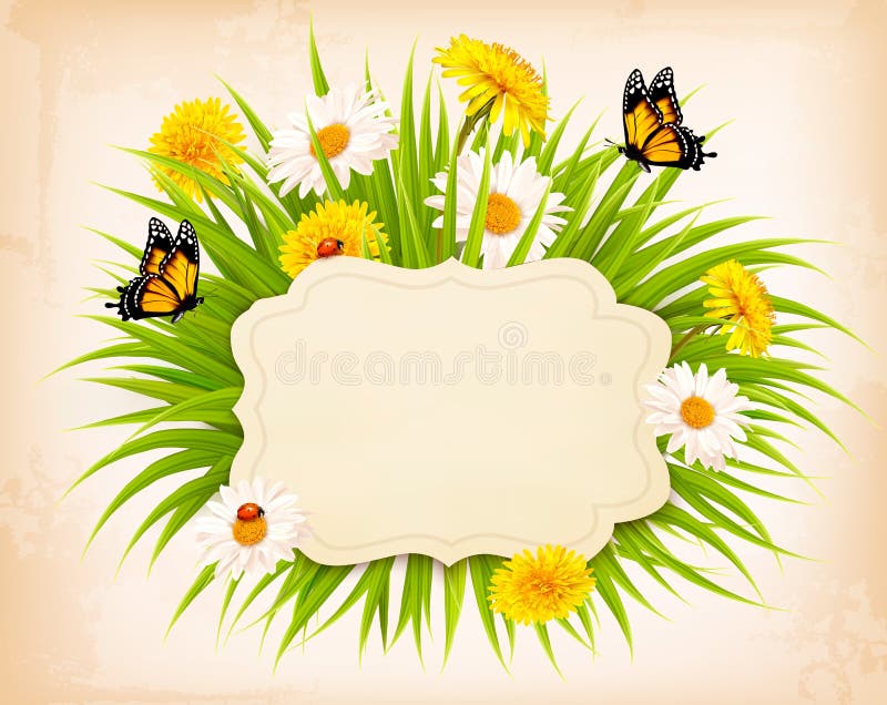 Spring banner with grass, flowers and butterflies. stock illustration Spring banner with grass, flowers and butterflies. stock illustration