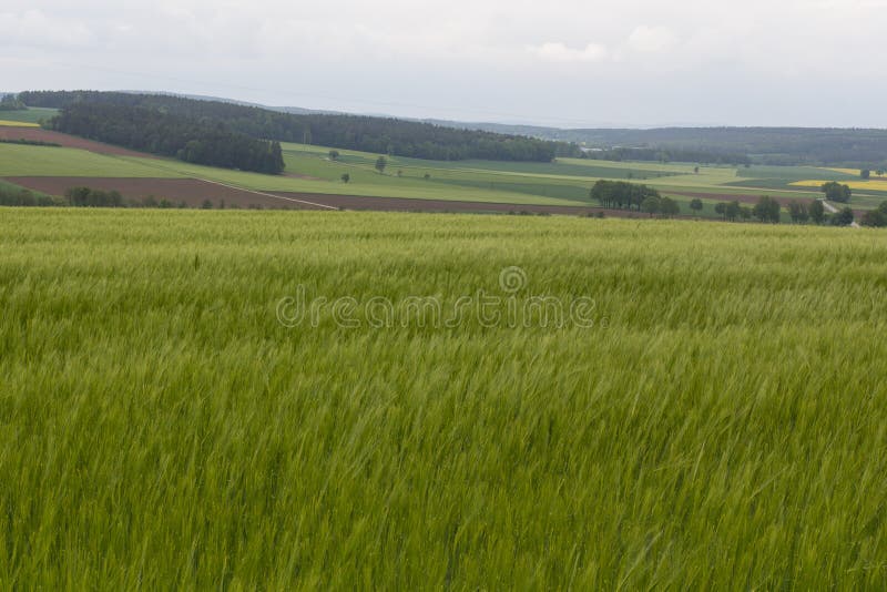 Spring In Bavaria Stock Photo Image Of Forest Evening 84252120