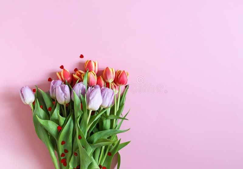 Spring beautiful tulip flowers on soft pastel background