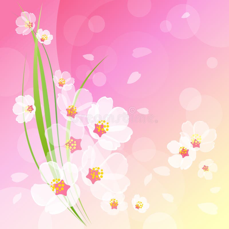 Spring blossoms background