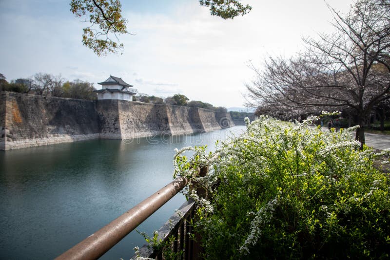 Spring Blossoms and Moat Walls at Osaka Castle stock photos
