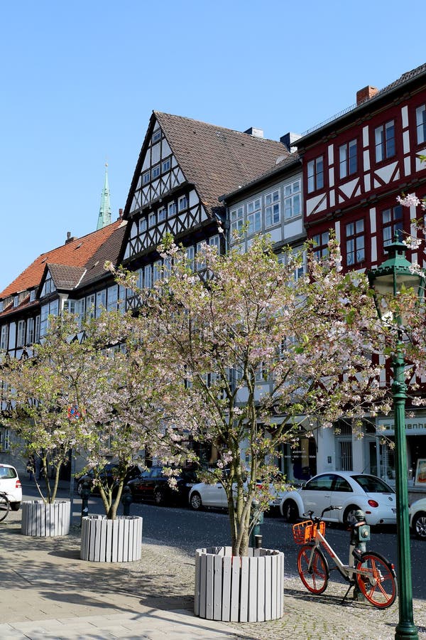 Spring Blossoms by The Traditional Half timbered Buildings in Hanover, Germany stock image