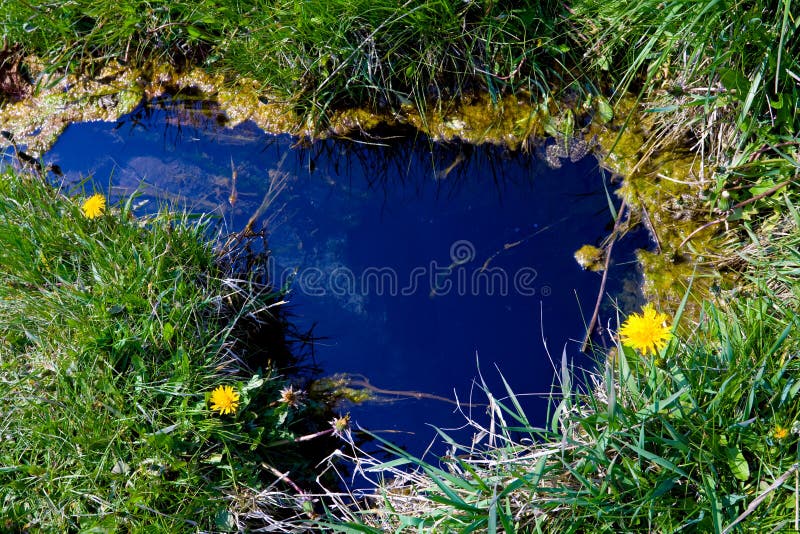 Spring with blue water royalty free stock photos