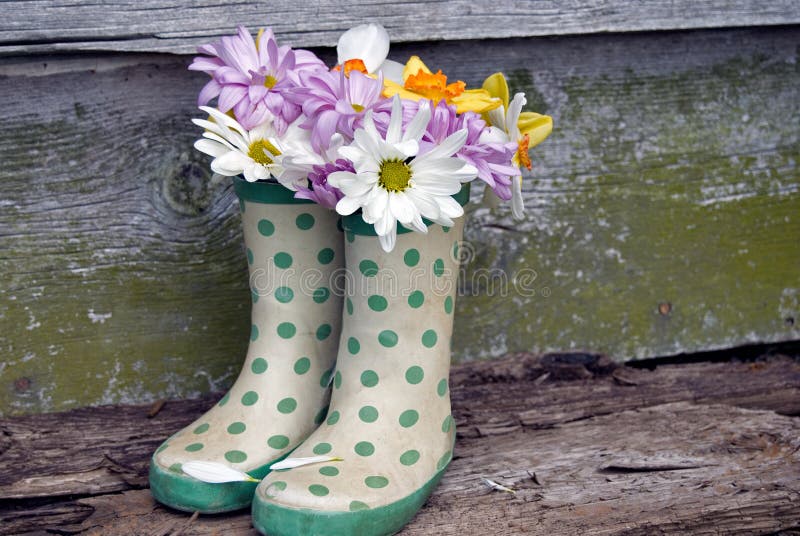 daisies in polka dot boots