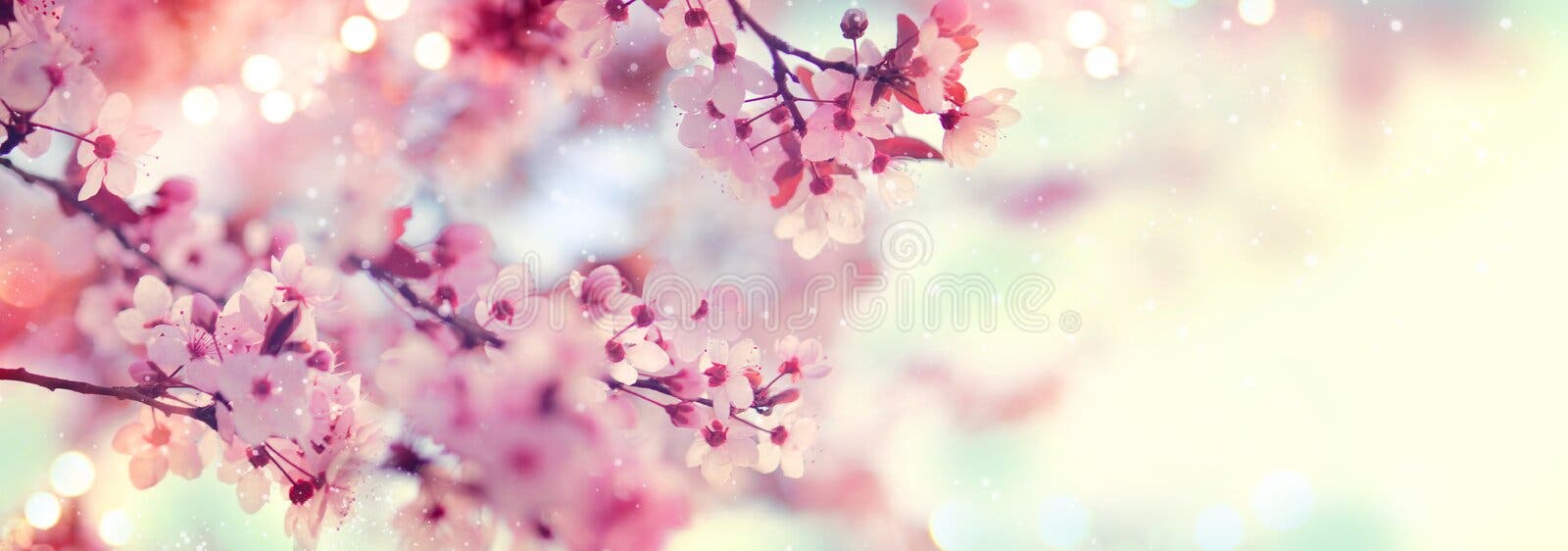 6,716,846 Spring Background Stock Photos - Free & Royalty-Free Stock Photos  from Dreamstime
