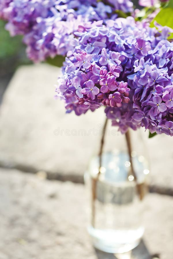 3,006 Still Life Bouquet Lilac Vase Stock Photos - Free & Royalty