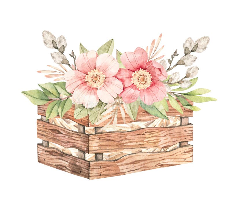 Spring bouquet with pink roses blossom and green leaves. Gentle rose, bud, branches, wooden box. Watercolor botanical illustration