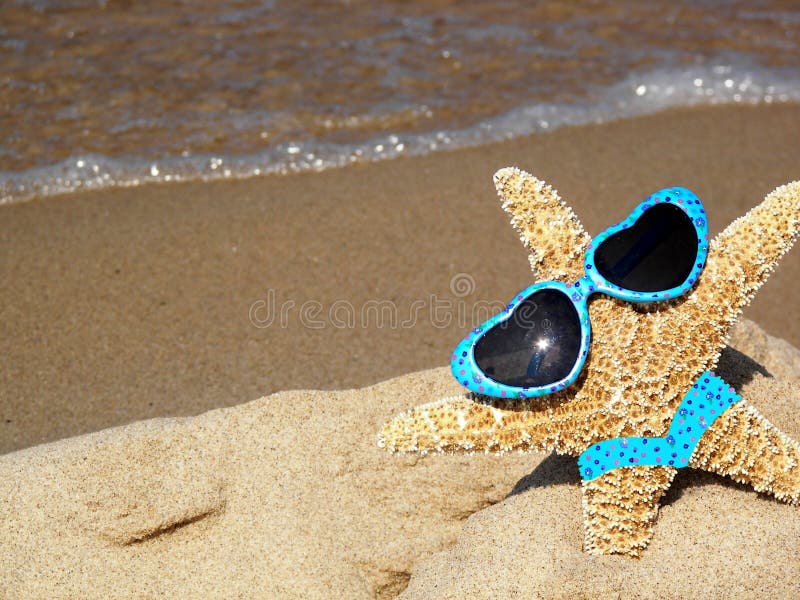 starfish on beach with sunglasses and bikini