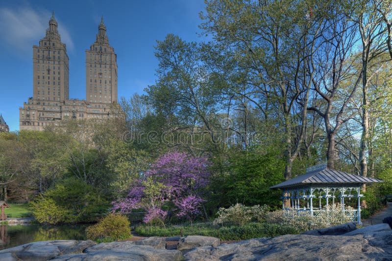 Spring in Central Park