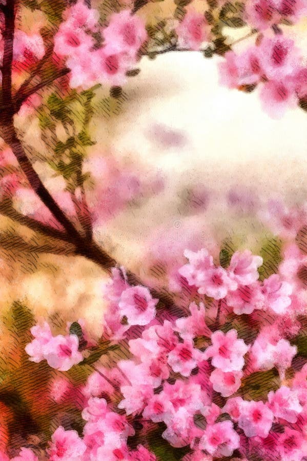 Spring Cherry blossoms, pink flowers watercolor painting wallpaper background royalty free illustration Spring Cherry blossoms, pink flowers watercolor painting wallpaper background royalty free illustration