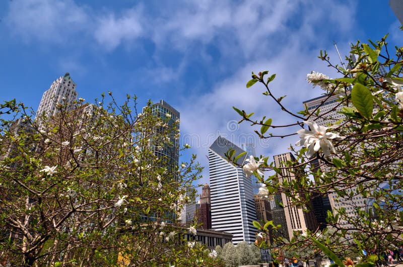 Spring in Chicago