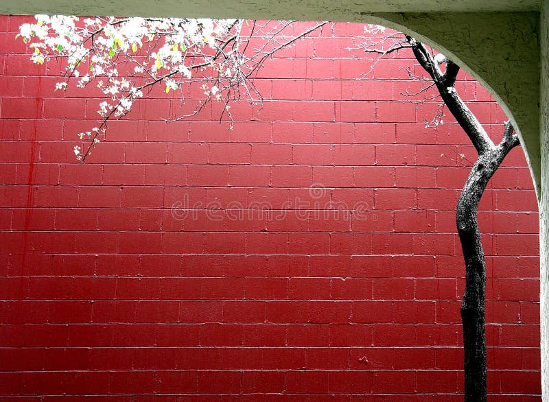 Spring in a city