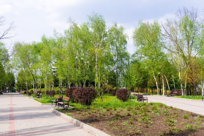 Spring City Park Blooming Flower and Trees, Bright Green Grass Stock