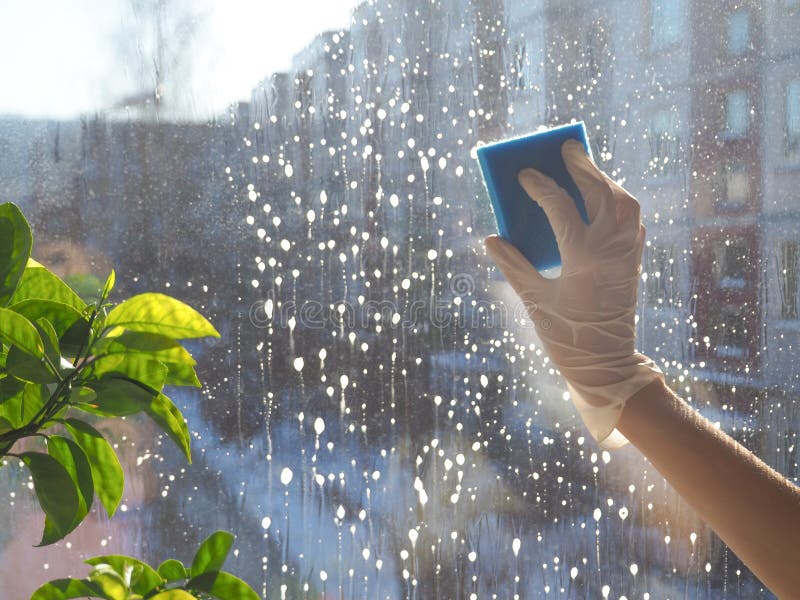 Spring cleaning - cleaning windows. Women`s hands wash the window, cleaning