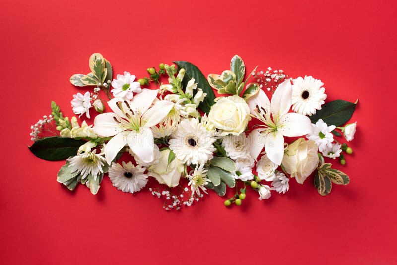 Spring composition of white flowers on red paper background with copy space. Creative layout. Flat lay. Top view. Summer stock photo Spring composition of white flowers on red paper background with copy space. Creative layout. Flat lay. Top view. Summer stock photo