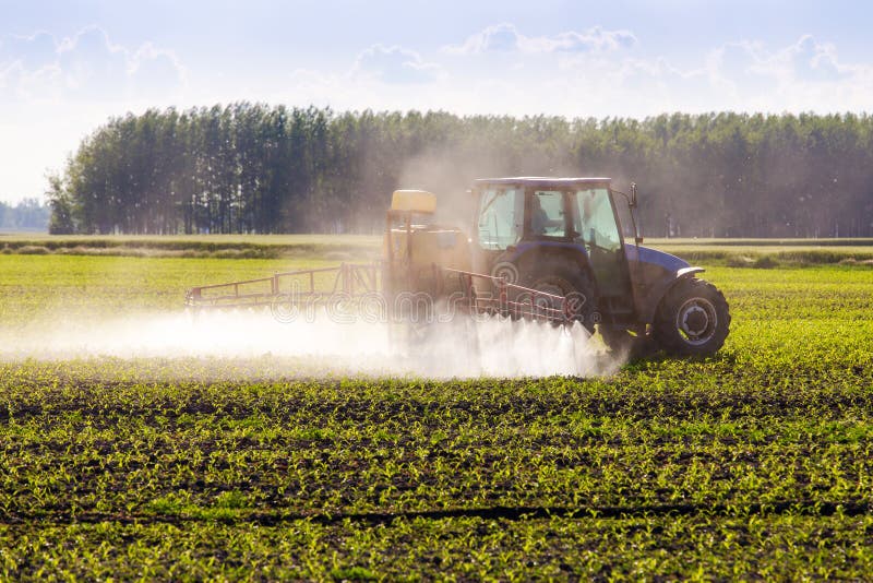 In spring, the corn is sprayed on the tractor.