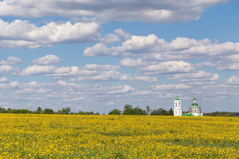 Spring field with yellow flowers and church, blue sky with clouds