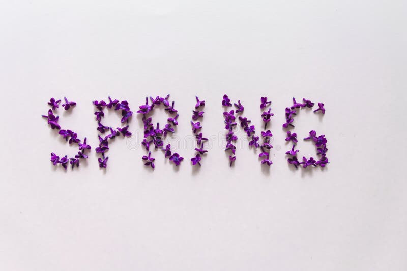 Spring Creative. Layout with the Word Spring Made of Flowers, Letters Made of the Lilac Stock