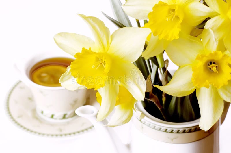 Spring Daffodils & Cup of Tea Stock Image Image of liquid, morning