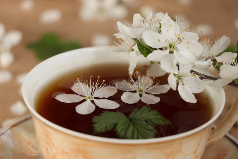 Spring, Delicious, Delicate Tea with Cherry Flowers and Raspberry