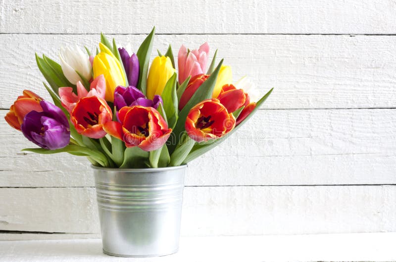 Spring easter tulips in bucket