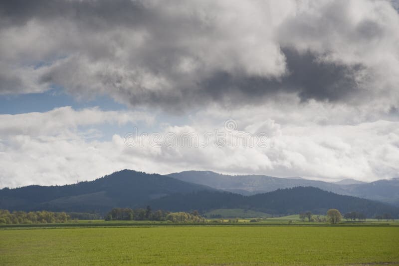 Spring farm fields