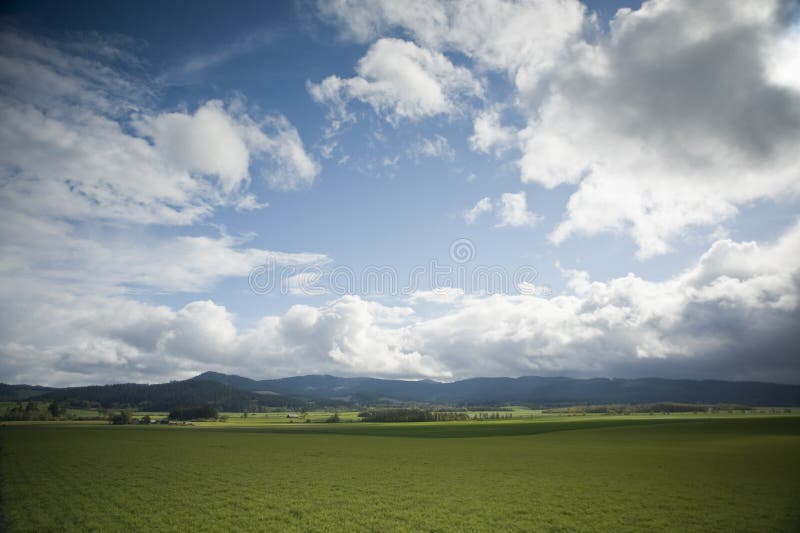 Spring farm fields