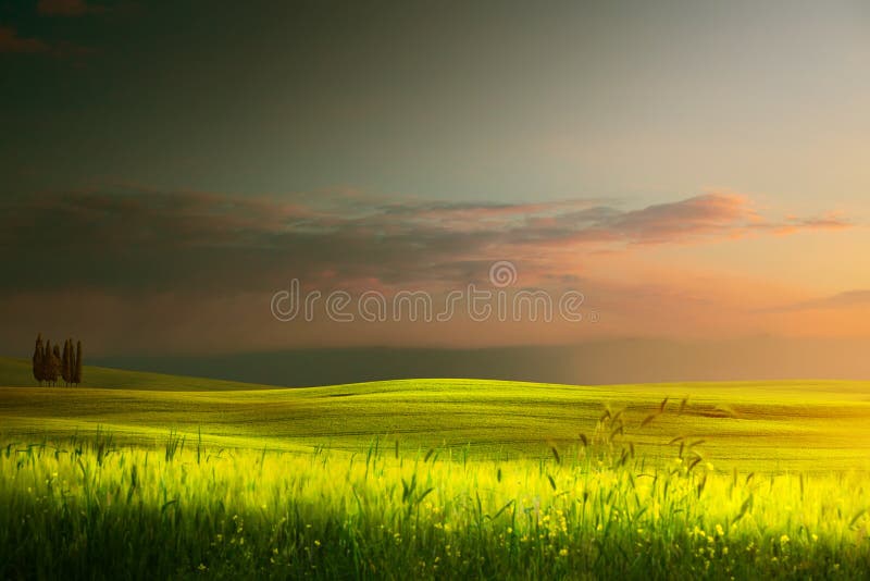 art spring farmland and country road; tuscany countryside rolling hills