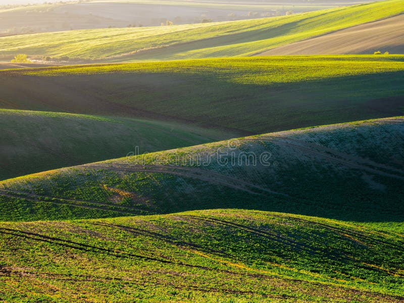 Spring farmland in the hills stock photo