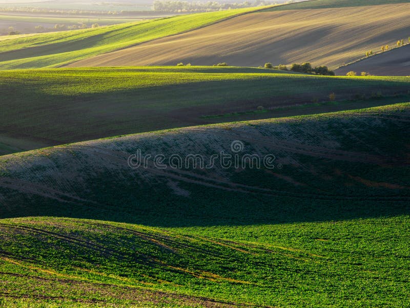 Spring farmland in the hills. royalty free stock photos
