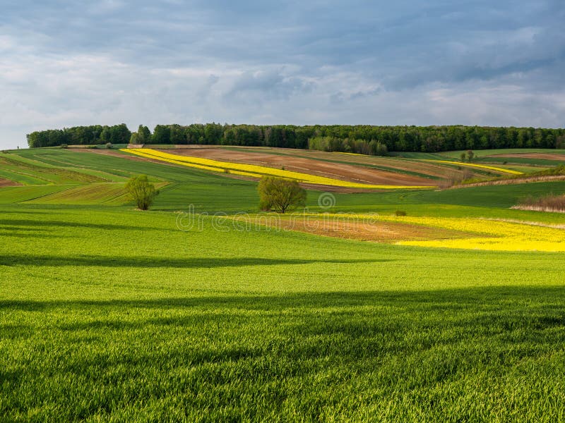 Spring farmland in the hills of Roztocze in Poland. stock images