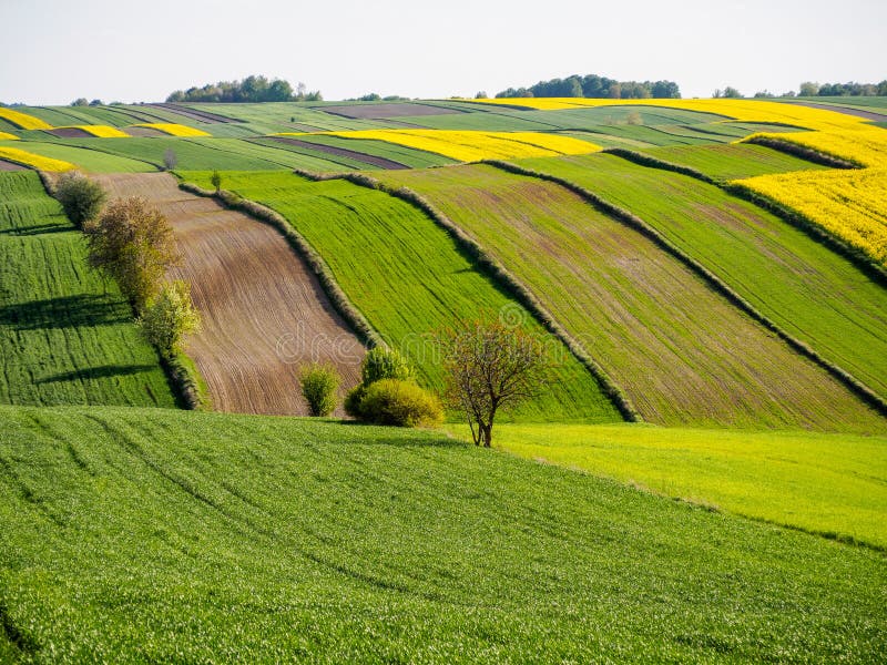 Spring farmland in the hills of Roztocze in Poland. stock photography