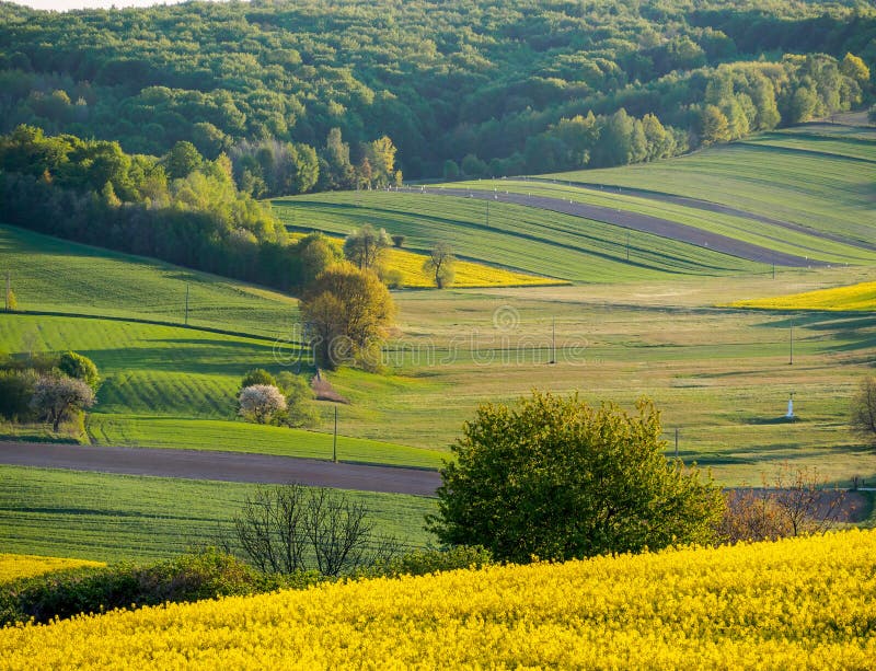 Spring farmland in the hills royalty free stock images