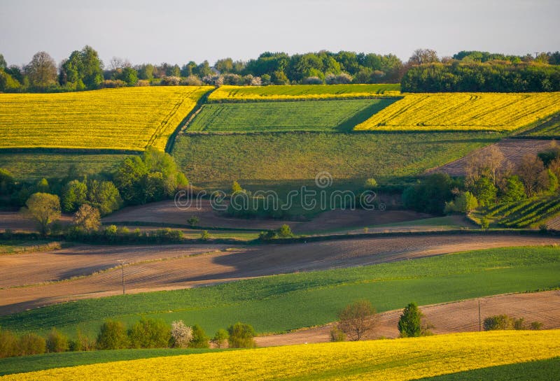 Spring farmland in the hills royalty free stock image