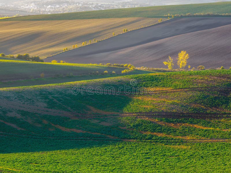 Spring farmland in the hills. royalty free stock image
