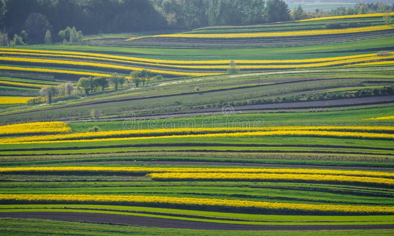 Spring farmland in the hills royalty free stock photo
