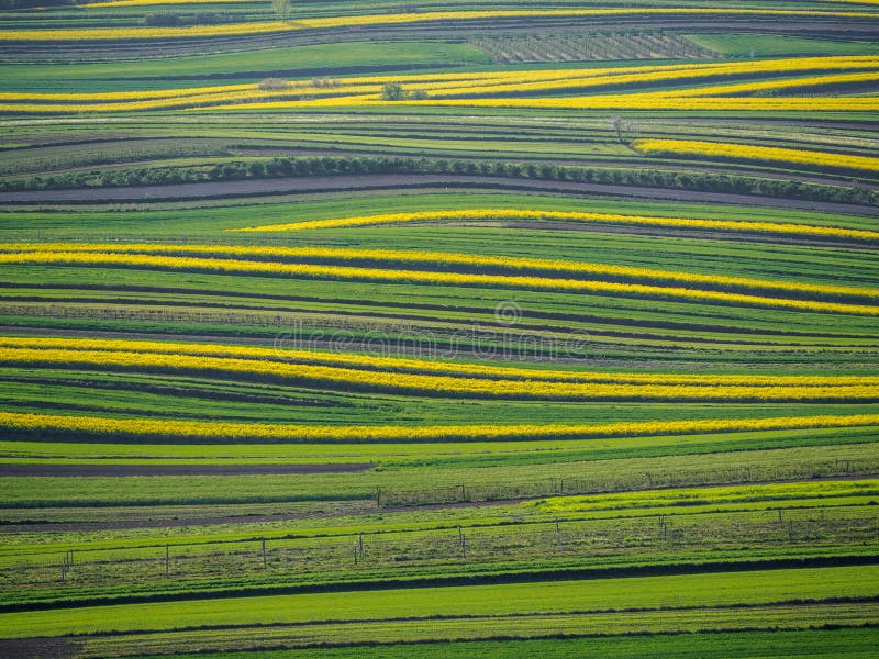 Spring farmland in the hills royalty free stock photos