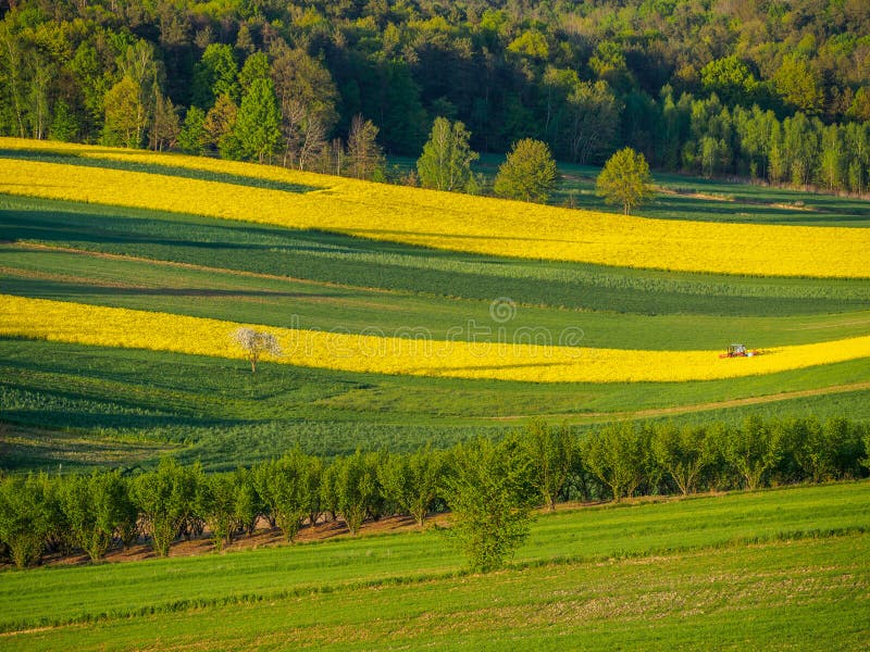 Spring farmland in the hills stock images