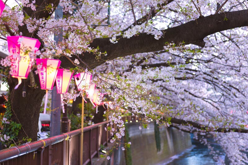 The Atmosphere During Spring Seasom In Japan Stock Photo - Image of ...