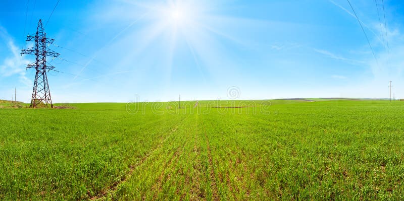 Spring field morning panorama