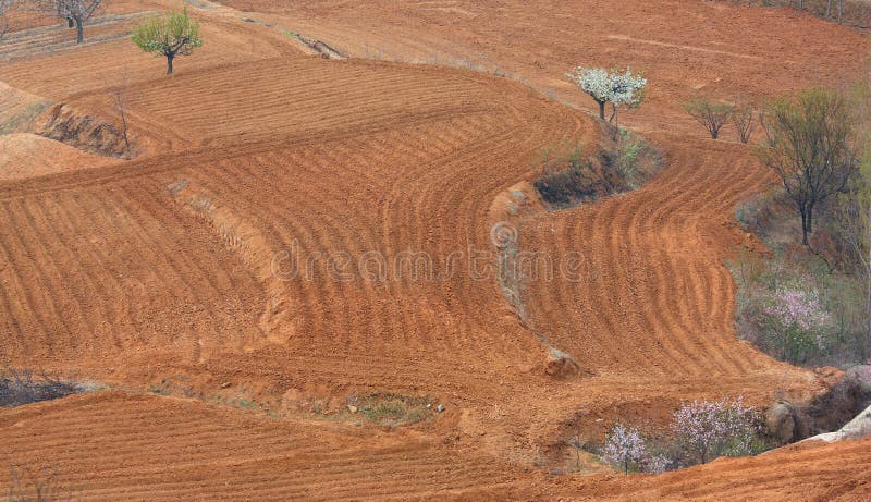 Spring fields