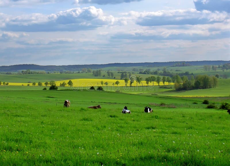 Spring fields