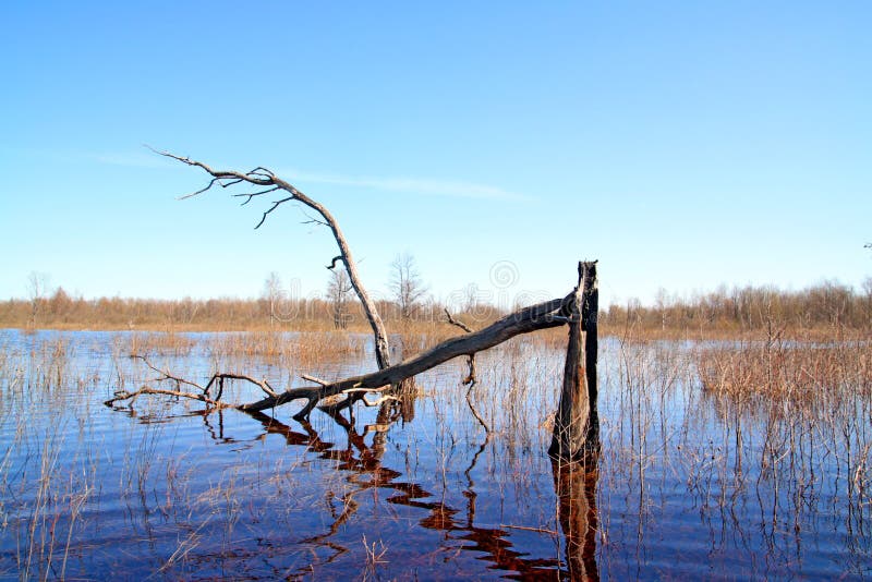 Spring flood