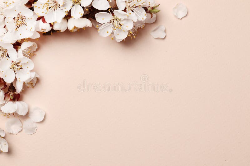 Flower Wallpaper Hd Images  Free Download on Freepik